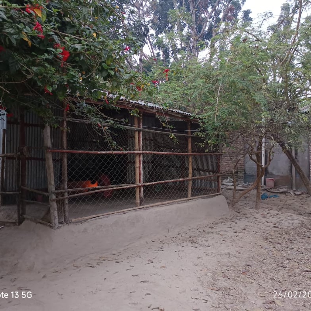 শ্রী শ্রী কালী মন্দির